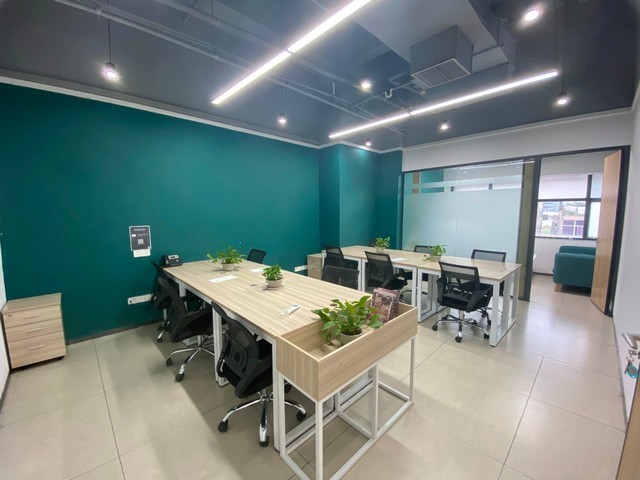 大米纸听销售厂家